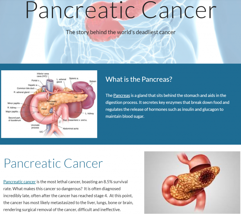 Pancreatic Cancer Research Microgrant – miRcore